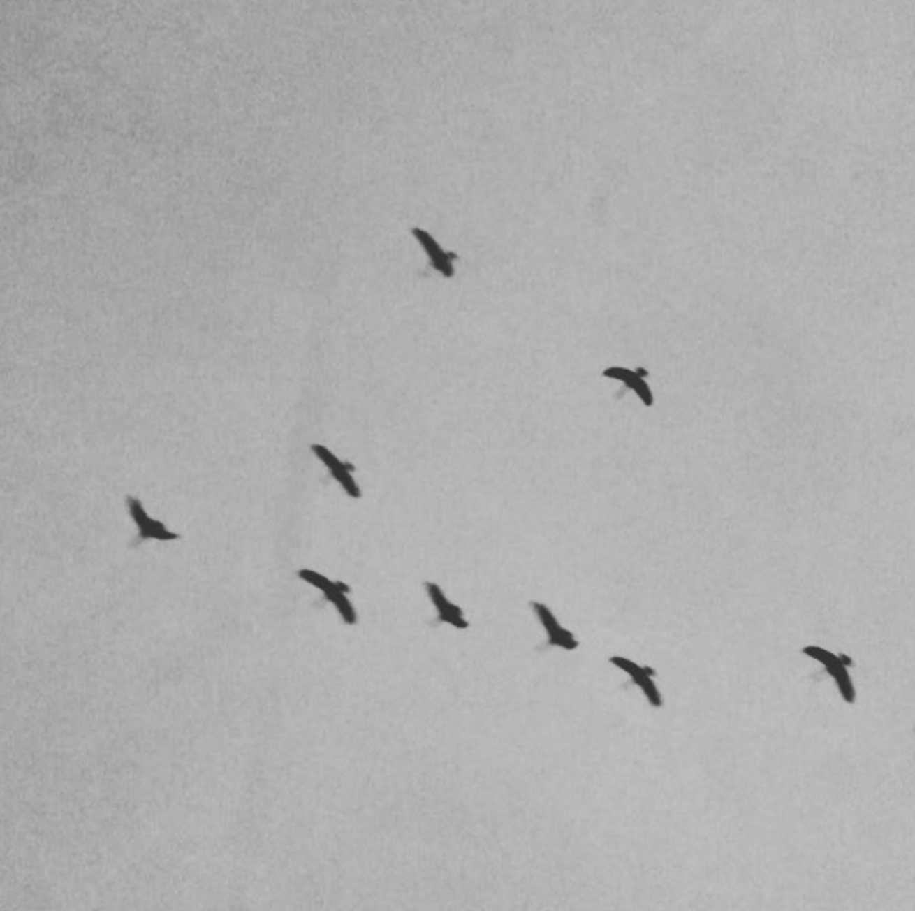 Screen Shot 2015-11-01 at 5.07.51 PM