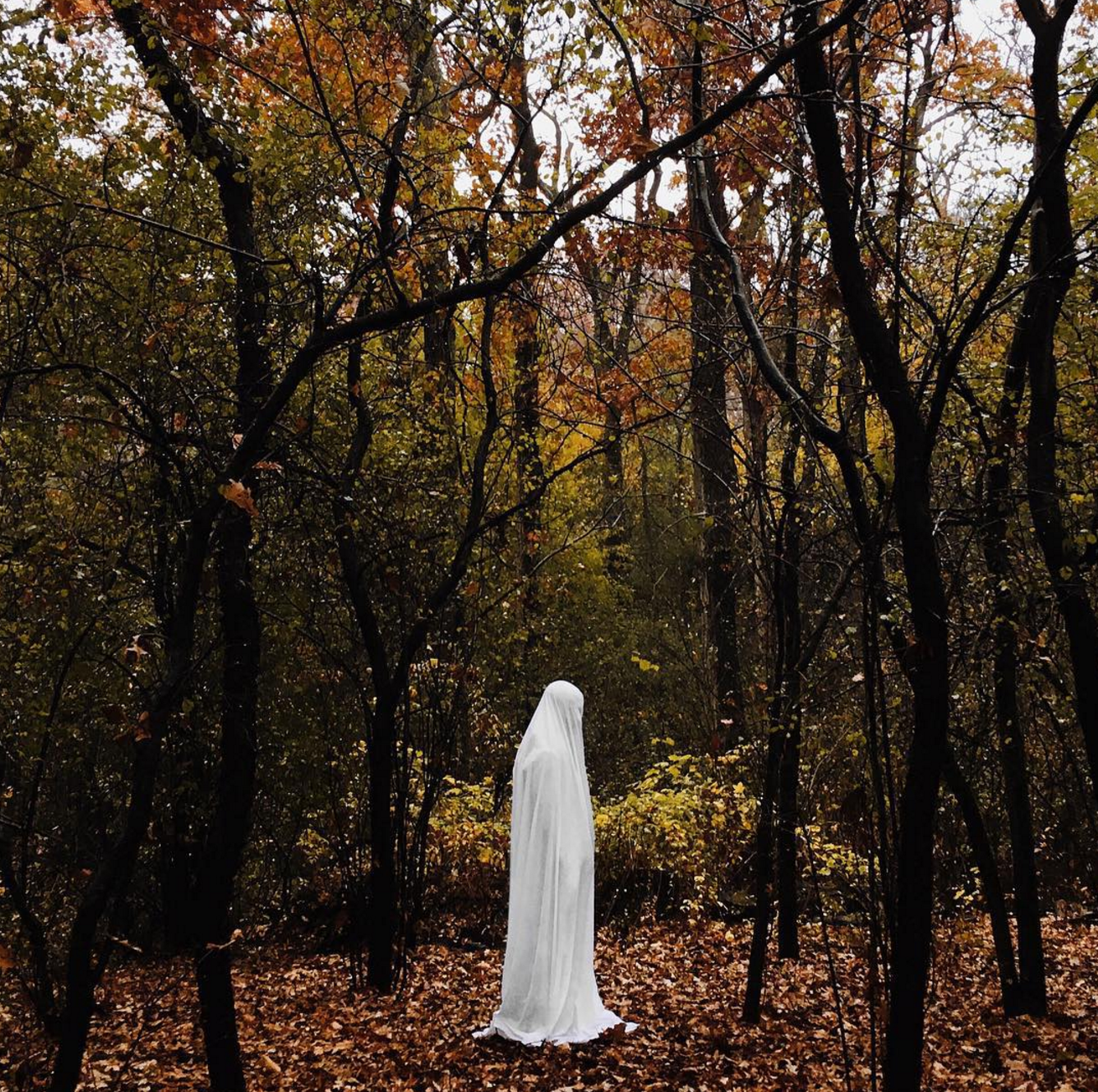 Screen Shot 2015-11-01 at 5.10.34 PM