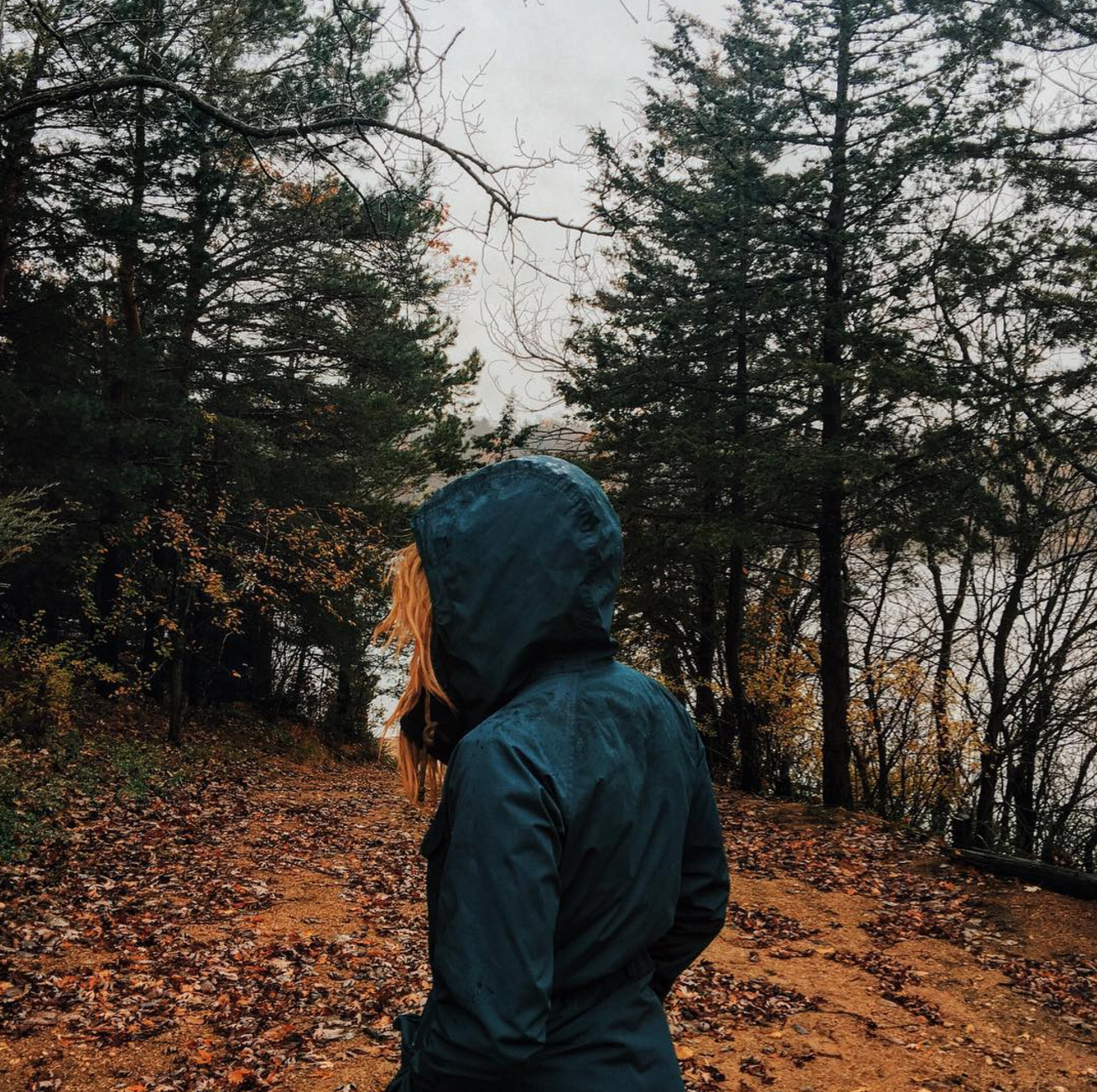 Screen Shot 2015-11-01 at 5.11.38 PM